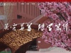 bfsu.edu.cn 网站截图